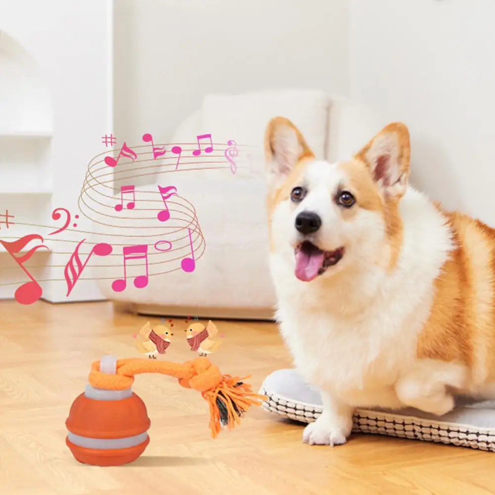 Interactive Motion Activated Dog Ball with Rope for Active Play