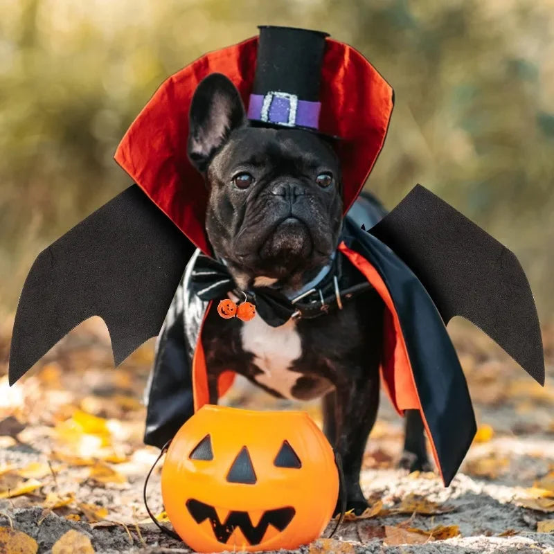 Small Dogs Harness Halloween Pet Bat Wings Dog Bat Costume Wings Halloween Accessory for Puppy Dog Cat Halloween Party Decor
