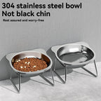 Stainless Steel Pet Bowl Slanted Anti Cervical Spondylosis for Cats and Dogs Dual Use Feeder