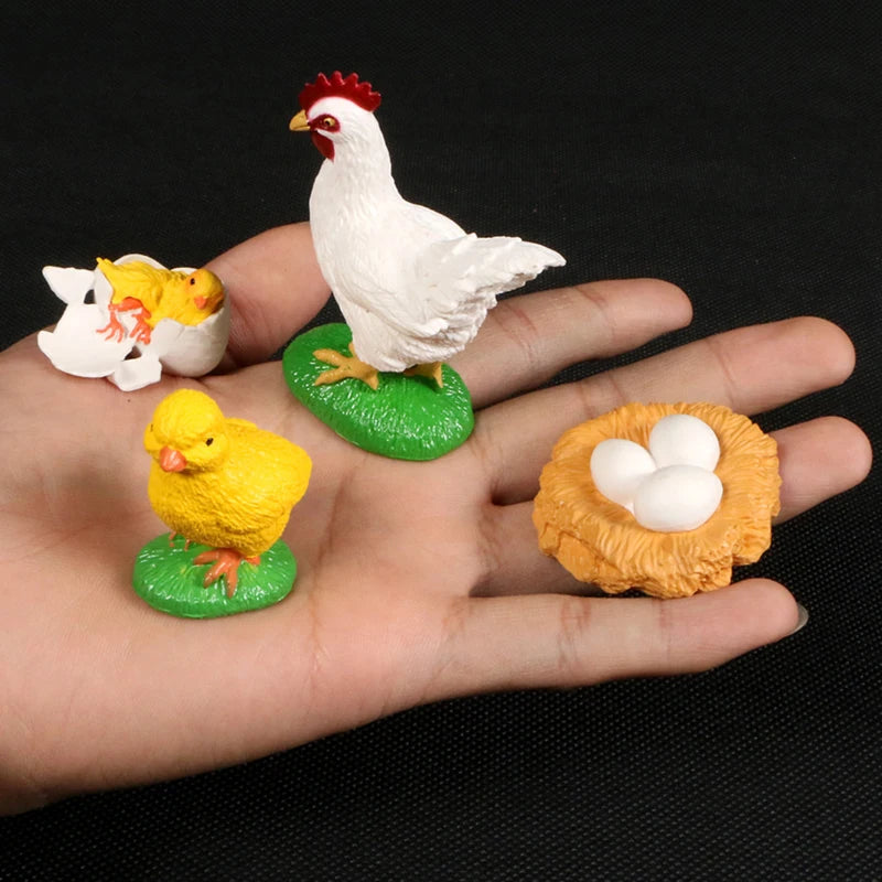 Montessori Animal and Plant Life Cycle Biology Model Toy Set