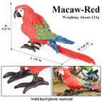 Realistic Bird Animal Figurine Collection