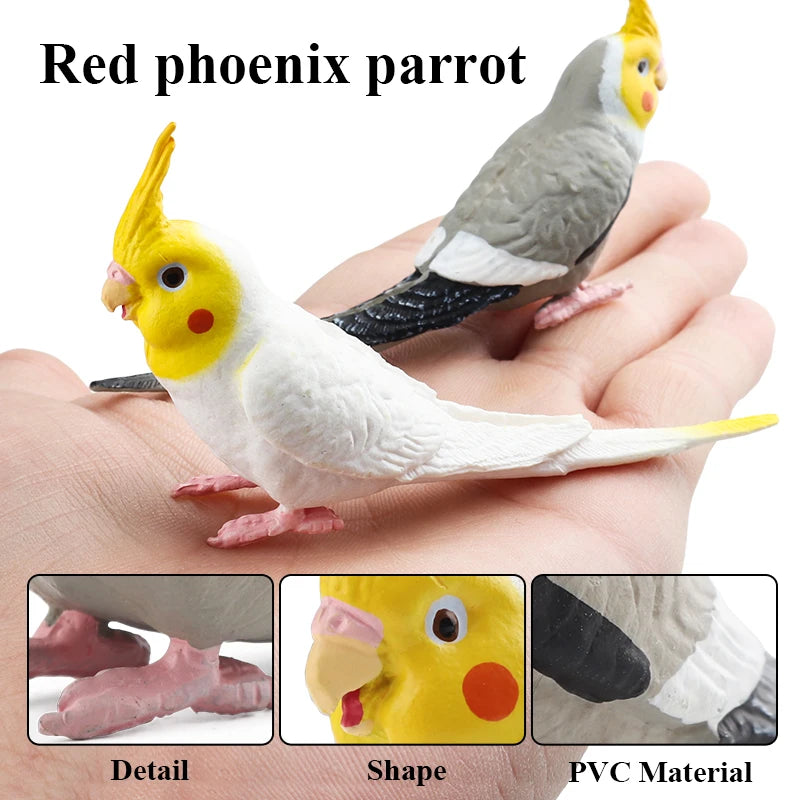 Realistic Bird Animal Figurine Collection