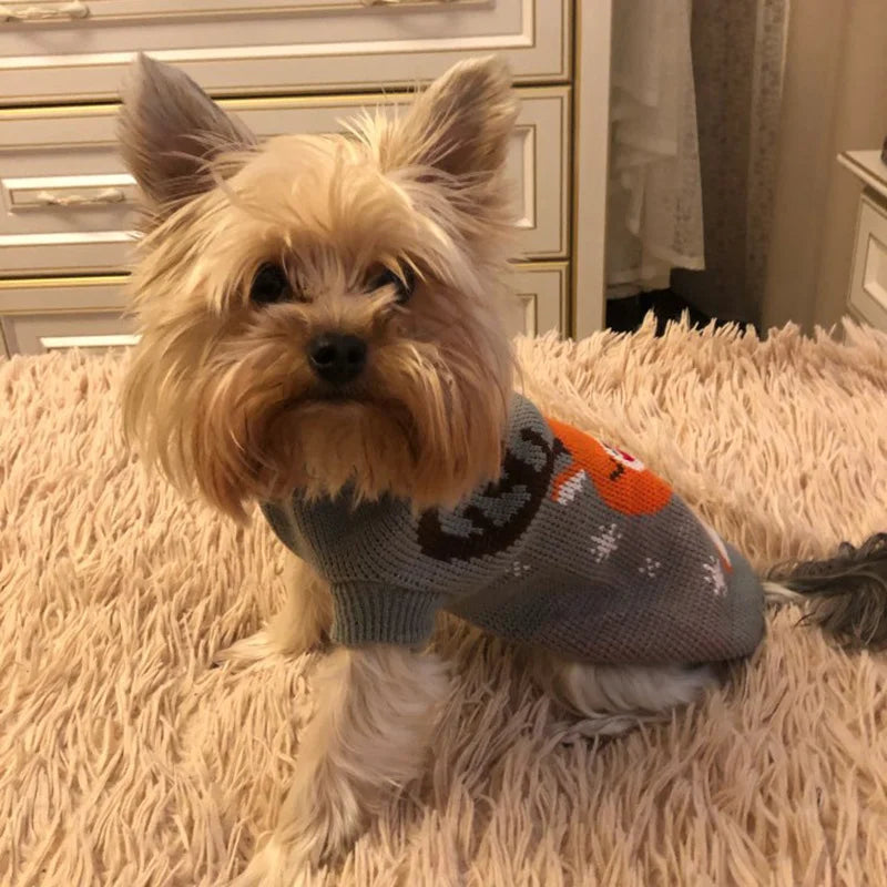 Warm Chihuahua Puppuy Dog Sweater Winter Pet Clothes for Small Dogs Yorkshire Dachshund Cat Pullover Mascotas Clothing Costume