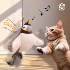 Interactive Wall Hanging Bird Cat Toy with Catnip for Indoor Play