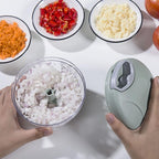 Manual Garlic Chopper – Meat Mincer & Vegetable Cutter Tool