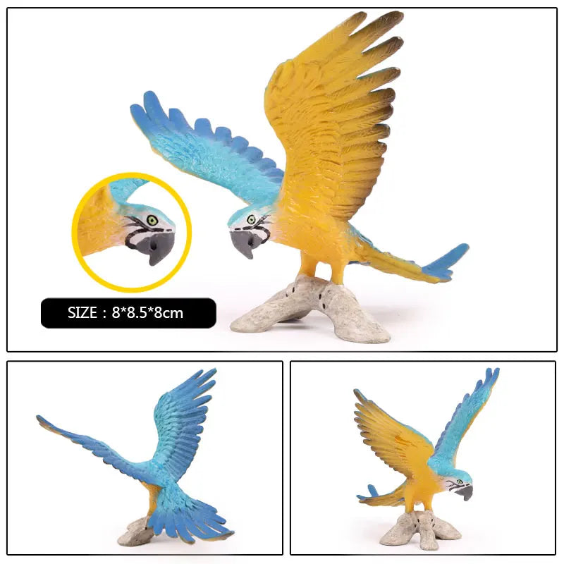 Realistic Bird Animal Figurine Collection