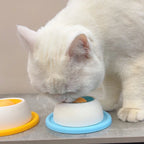 Dog Lick Mat Slow Feeder Interactive Toy for Training Enrichment