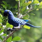 Realistic Bird Animal Figurine Collection