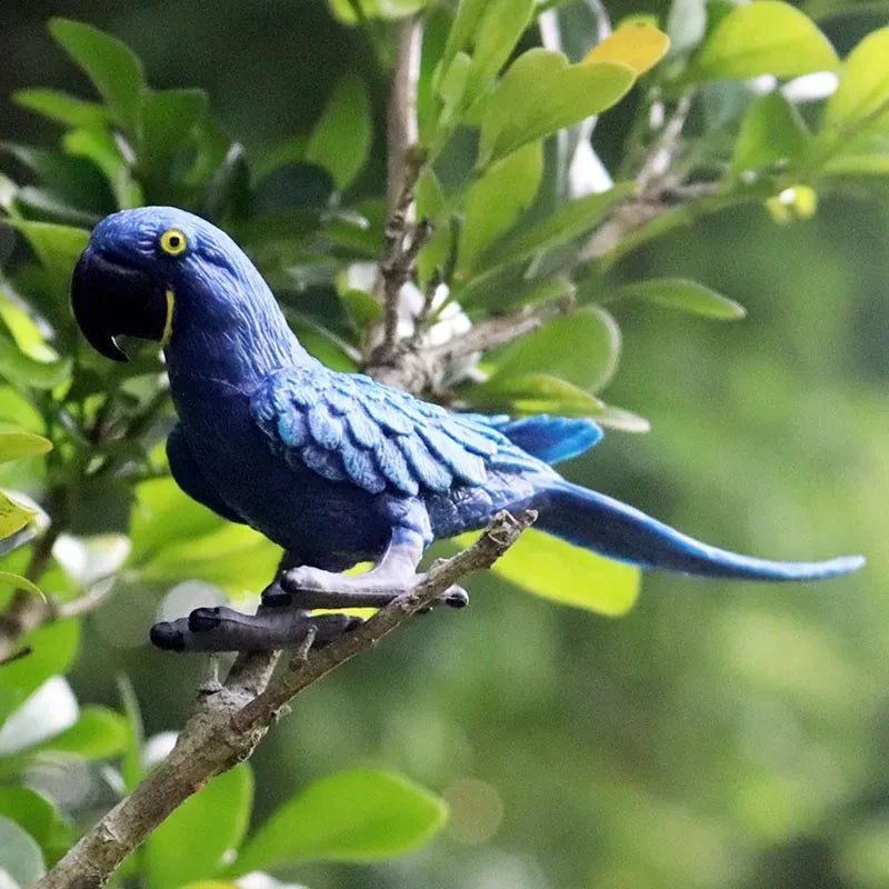 Realistic Bird Animal Figurine Collection