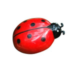 Mini Electric Ladybug Cat Toy for Interactive Indoor Hunting Play