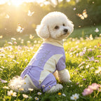 Summer Dog Cooling Clothes, Pet Sun Protection Quick-Drying Cool Dog One-Piece Clothes, Suitable for Small, Medium and Large-Siz