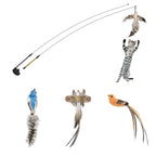 Peacock Bird Cat Teaser Wand for Interactive Hunting and Play