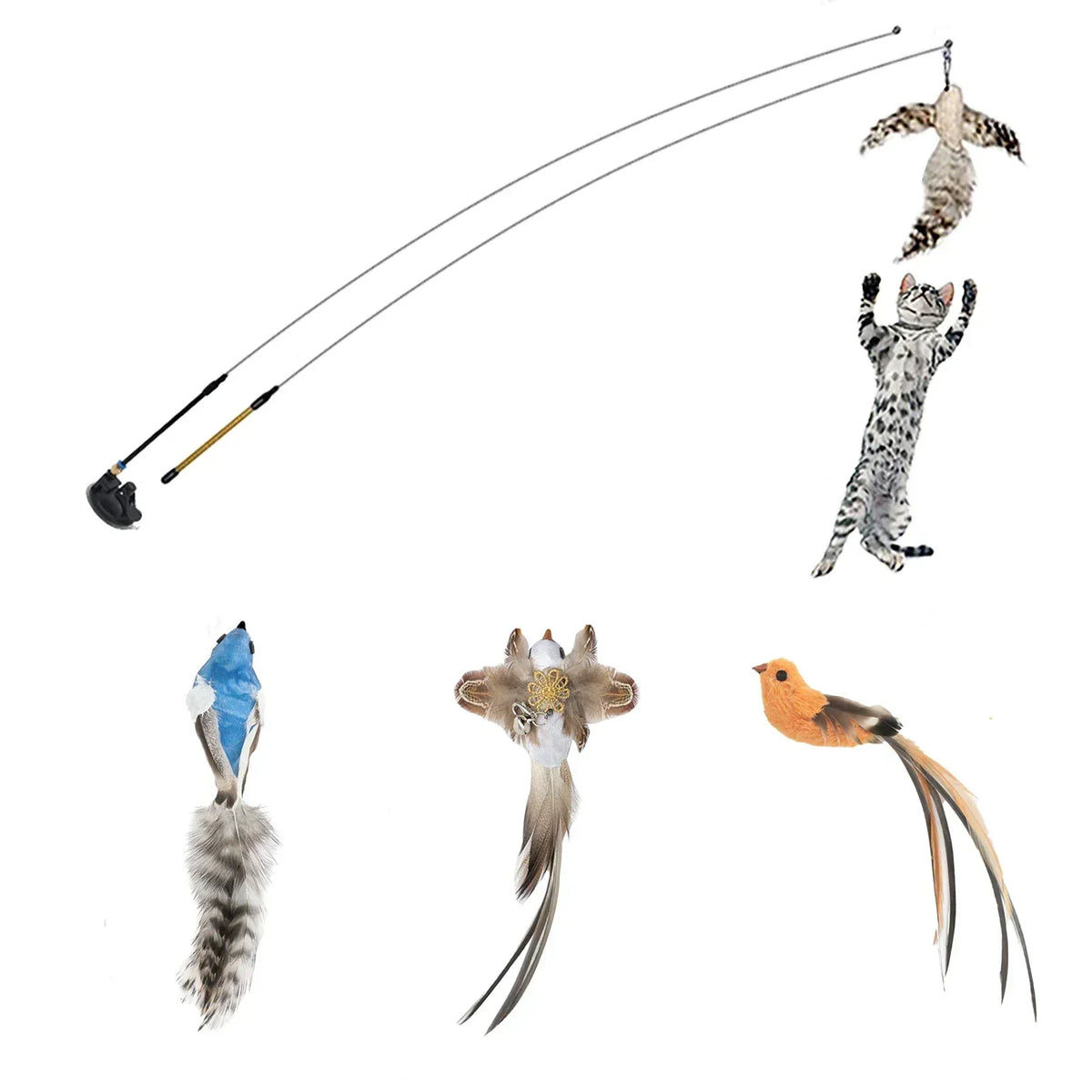 Peacock Bird Cat Teaser Wand for Interactive Hunting and Play