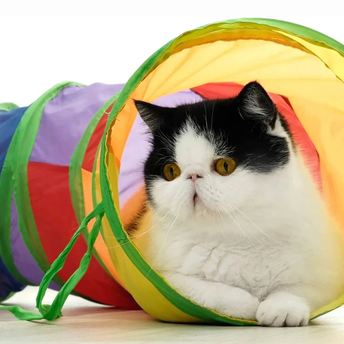 Foldable Interactive Cat Tunnel Toy for Indoor Play and Exercise