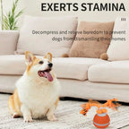 Interactive Motion Activated Dog Ball with Rope for Active Play