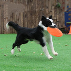 Silicone Flying Disc Dog Toy for Interactive Fetch and Training