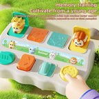 Montessori Pop Up Animal Learning Box