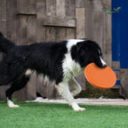 Silicone Flying Disc Dog Toy for Interactive Fetch and Outdoor Play
