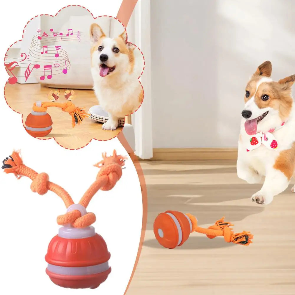 Interactive Motion Activated Dog Ball with Rope for Active Play