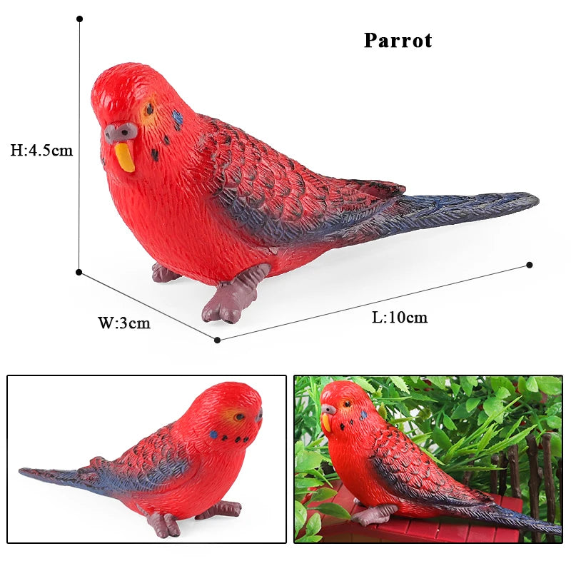 Realistic Bird Animal Figurine Collection