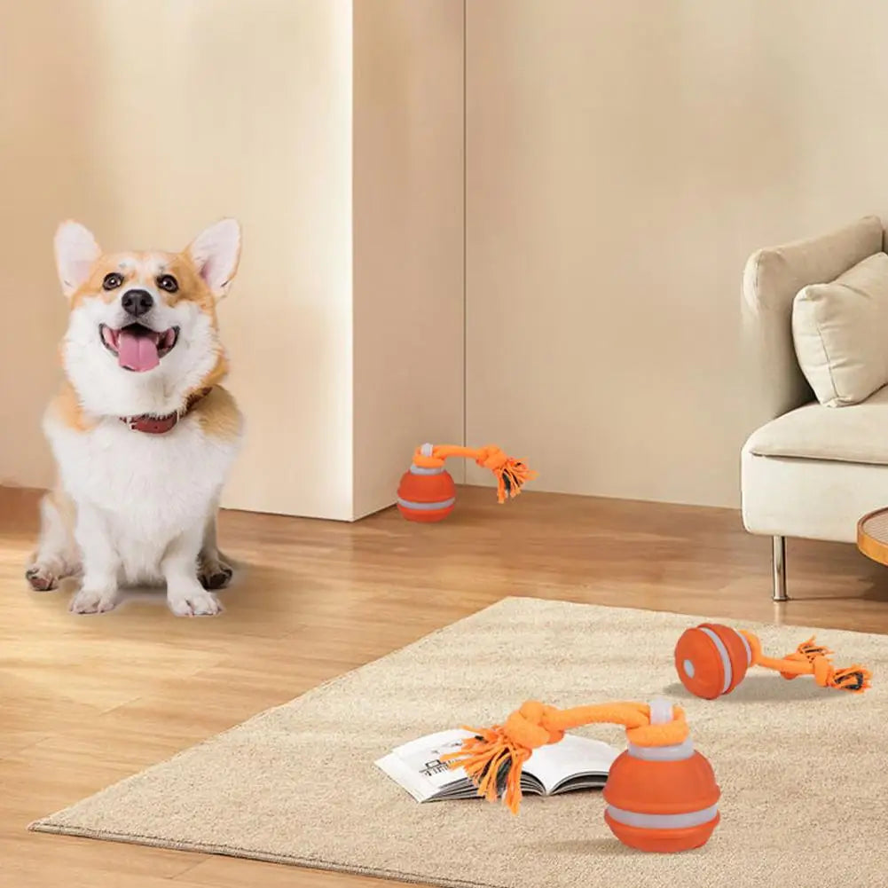 Interactive Motion Activated Dog Ball with Rope for Active Play