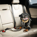 1PCS High Grade Dog Car Safety Belt Dog Safety Belt with Damping Belt and Reflective Line Adjustable Length Suitable Any Dog