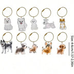Transparent Dog Hair Storage Container Adorable Pet Keepsake Capsule Pendant With Key Ring for Pet Lovers DIY Memorial Keychain