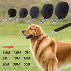 Long Strong Nylon Dog Leash 10m 15m 20m Pet Training Leash For Small Big Dogs Outdoor Walking Puppy Lead Rope Labrodor Supplies