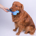 Plush Squeaky Bone Dog Toy for Interactive Chewing and Play