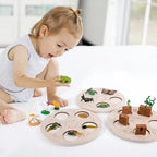 Montessori Animal and Plant Life Cycle Biology Model Toy Set
