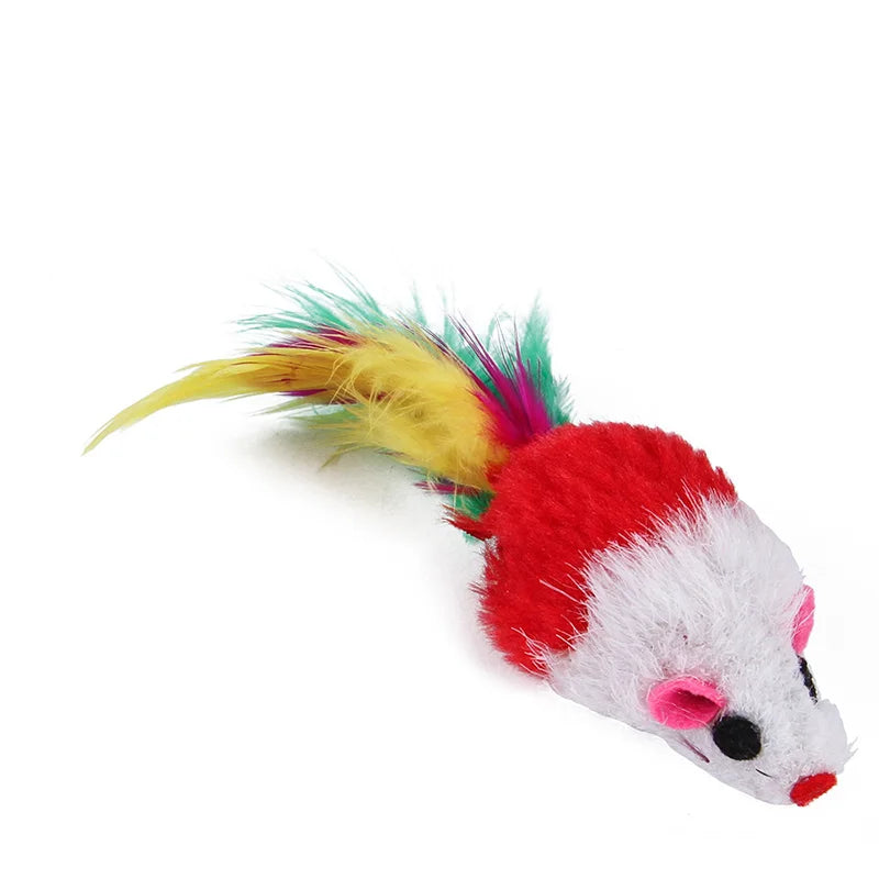 Kitten Toy Variety Pack for Interactive Indoor Cat Play Fun