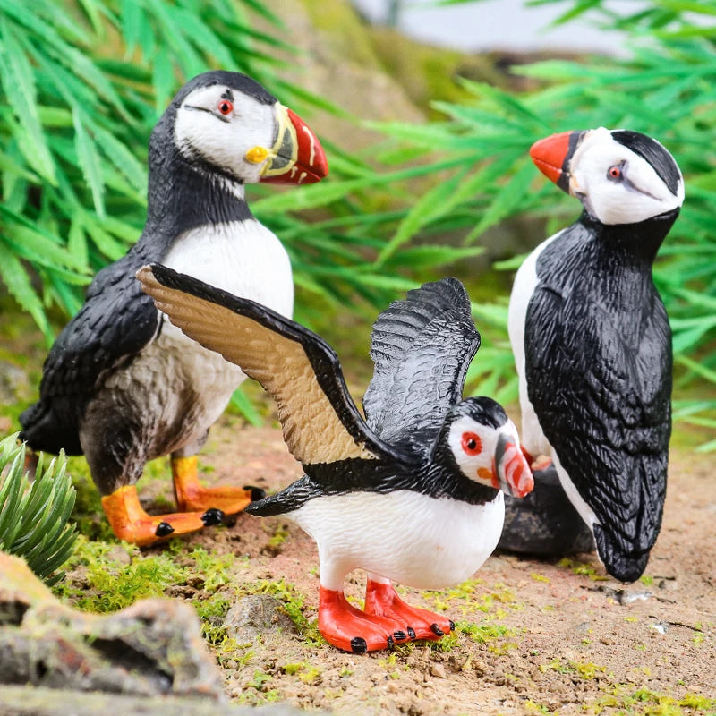 Realistic Bird Animal Figurine Collection