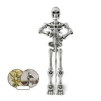 Halloween Magnetic Middle Ages Skeleton Posable Skeleton Human Shape Bones Halloween Haunted House Horror Props Skeleton Doll