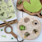 Montessori Animal and Plant Life Cycle Biology Model Toy Set