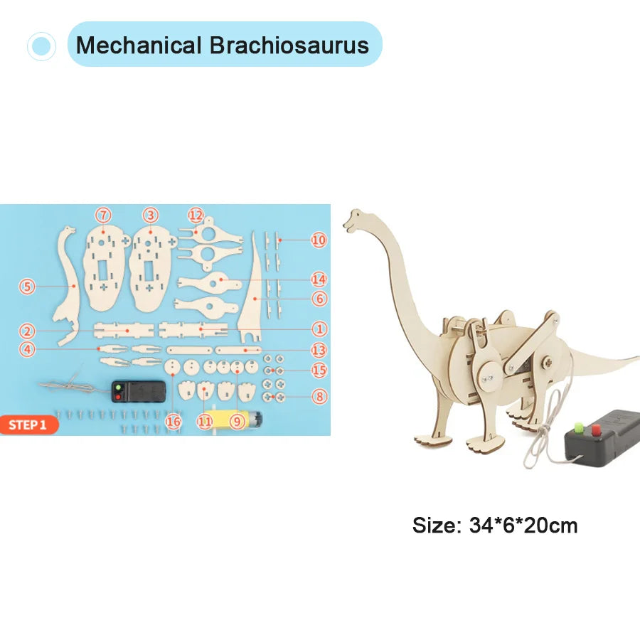 DIY STEM Science Experiment Model Kit for Kids