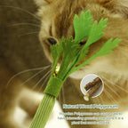 Silvervine Cat Toy Realistic Celery Chew Toy with Bell for Cats