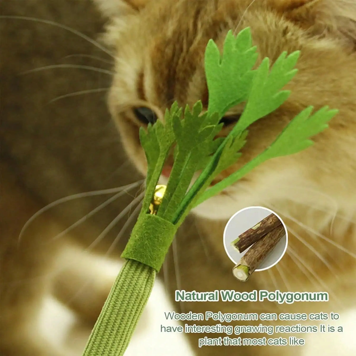 Silvervine Cat Toy Realistic Celery Chew Toy with Bell for Cats