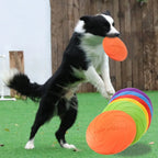 Silicone Flying Disc Dog Toy for Interactive Fetch and Training