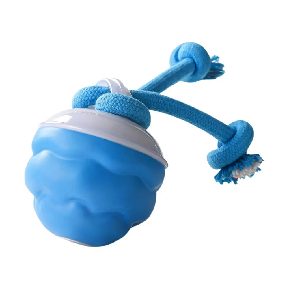 Interactive Motion Activated Dog Ball with Rope for Active Play