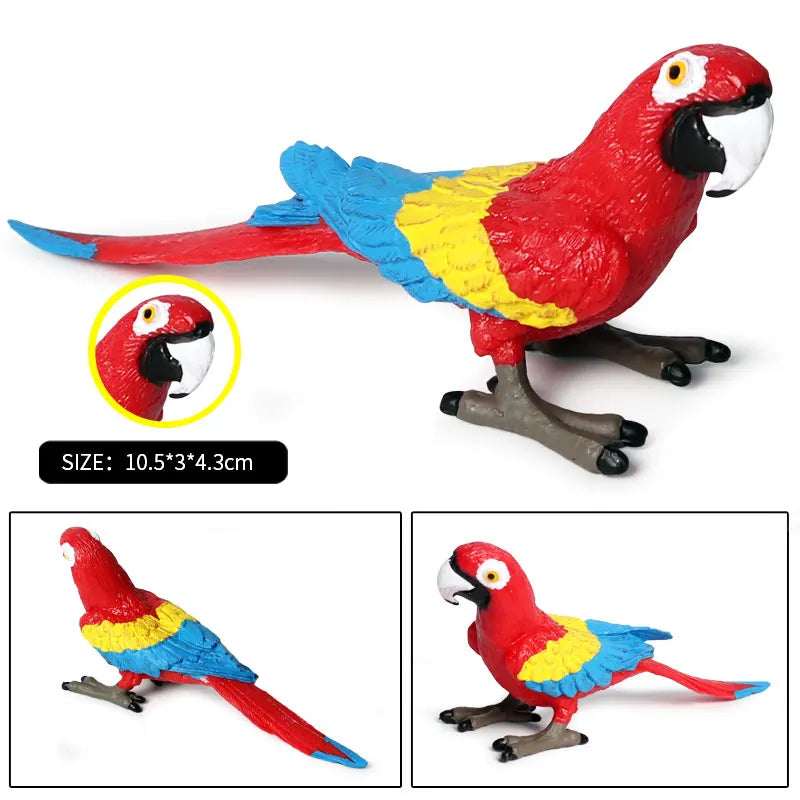 Realistic Bird Animal Figurine Collection