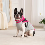 Winter Warm Dog Clothes with Harness Waterproof Pet Dog Jacket for Small Large Dogs Puppy Clothing French Bulldog Coat