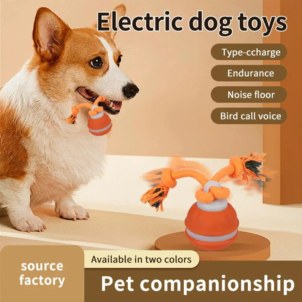 Interactive Motion Activated Dog Ball with Rope for Active Play