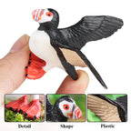 Realistic Bird Animal Figurine Collection