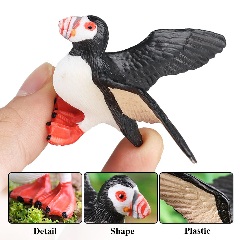 Realistic Bird Animal Figurine Collection
