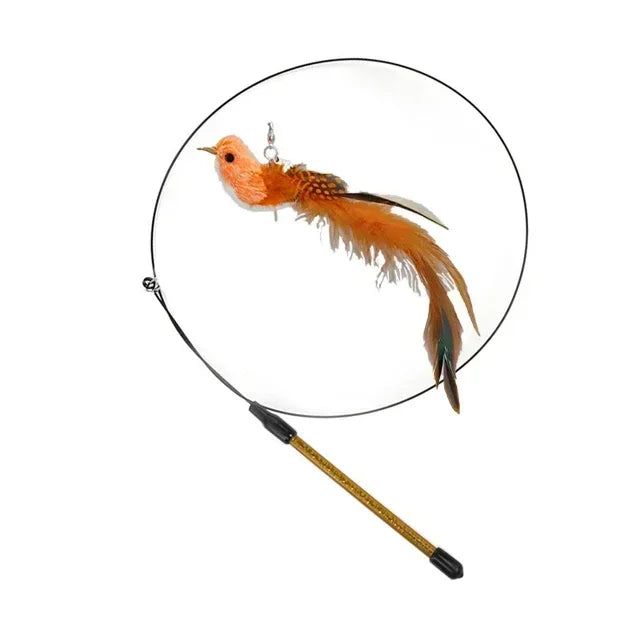 Peacock Bird Cat Teaser Wand for Interactive Hunting and Play