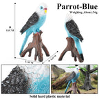 Realistic Bird Animal Figurine Collection