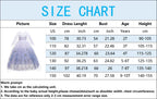 Girls Elsa Frozen Snow Queen Mesh Princess Dress Costume