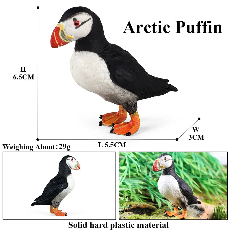 Realistic Bird Animal Figurine Collection