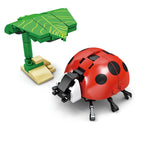 Creative Insect Building Blocks Animal Model Toy Set for Kids