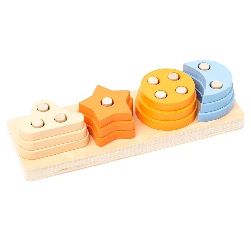 Montessori Wooden Color & Shape Matching Building Blocks